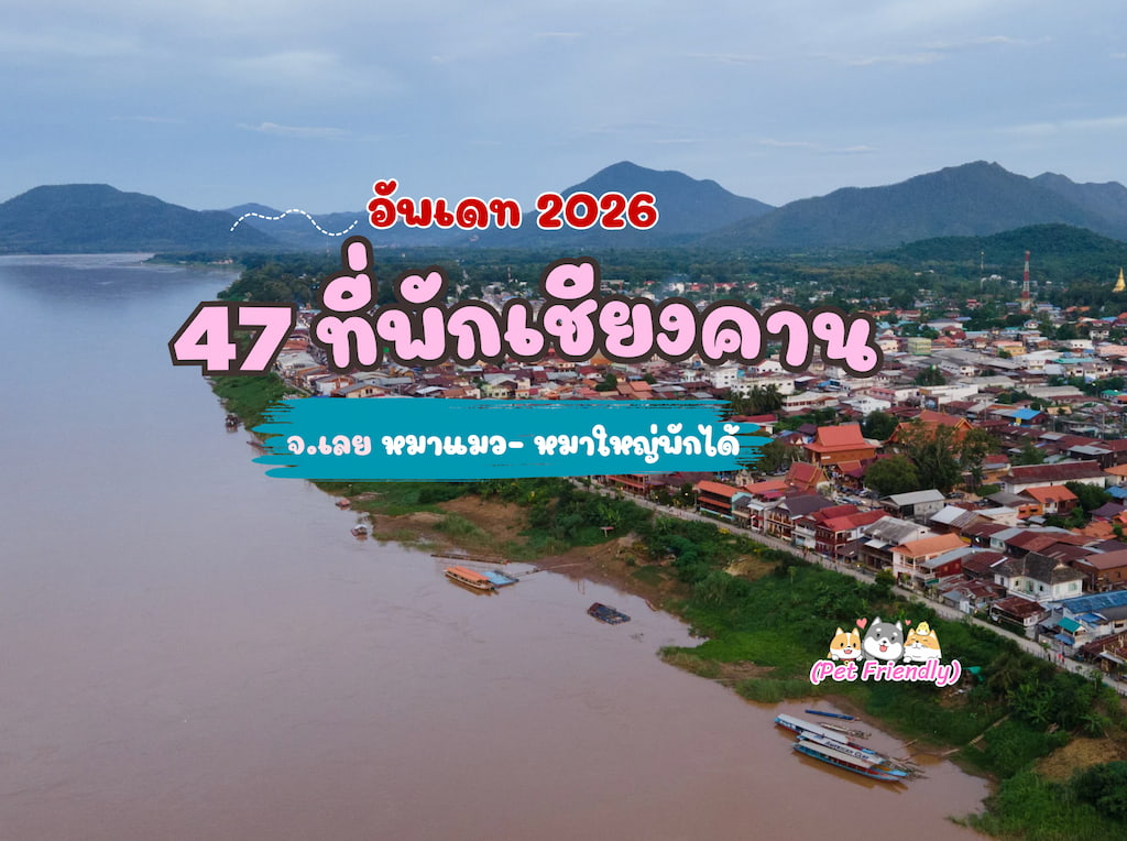 อัพเดท 2569! 47 ที่พักเชียงคาน หมาพักได้ (รับหมาใหญ่) มีพูลวิลล่า/เหมาหลัง/ริมโขง