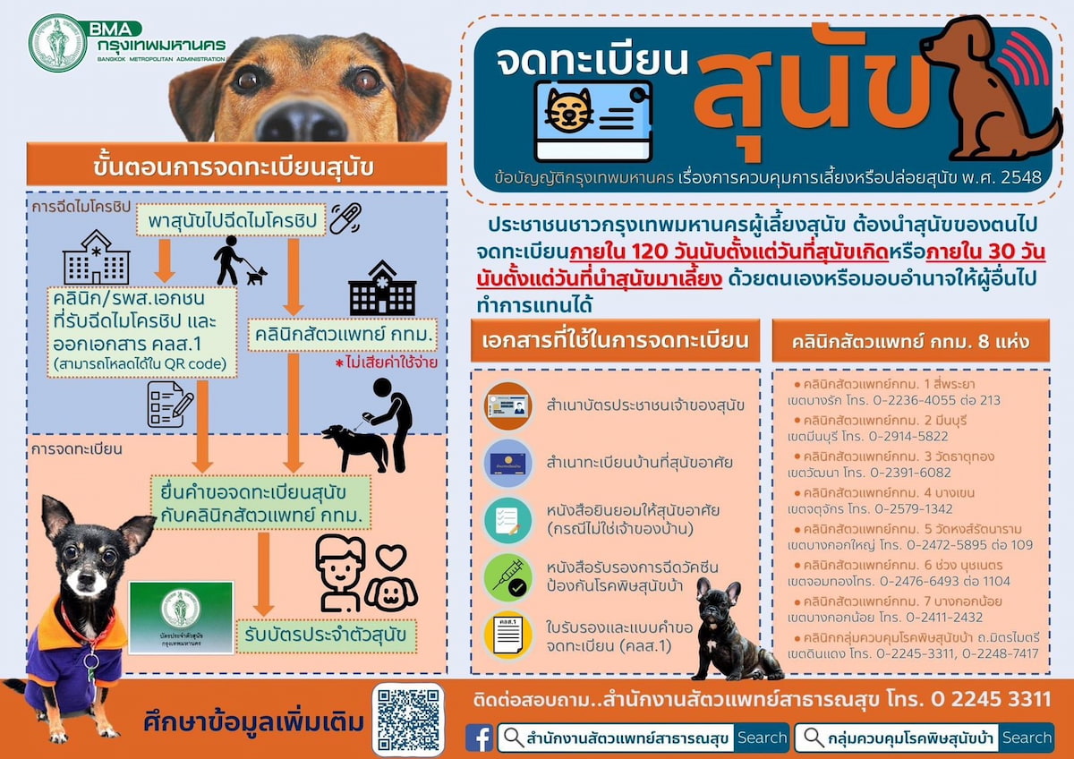 จดทะเบียนสุนัข-แมว กทม. 2569: ข้อบัญญัติใหม่ สรุปเงื่อนไข ฝังไมโครชิป และจำนวนที่เลี้ยงได้