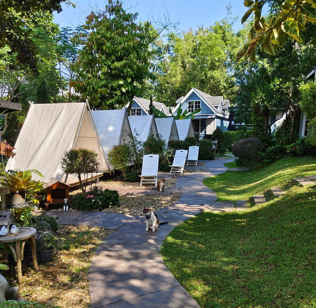 ภาพถ่ายหน้าจอ 2568-12-07 เวลา 16.03.37.jpg