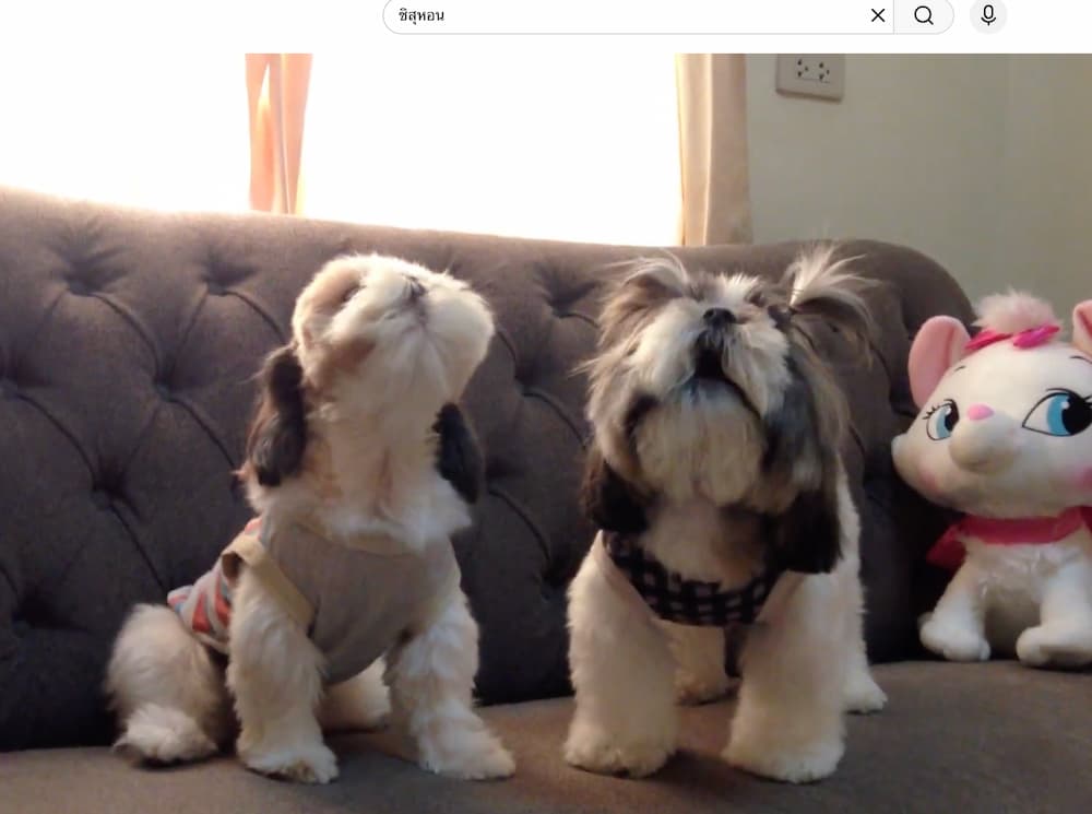 ภาพถ่ายหน้าจอ 2568-12-26 เวลา 10.37.54.jpg