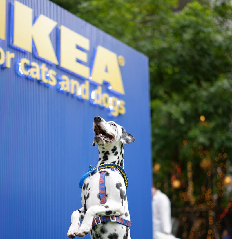 ภาพถ่ายหน้าจอ 2569-03-10 เวลา 09.29.01.jpg