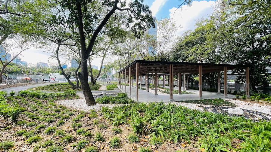 สวนลุมพินี Dog Park เปิดแล้ว! พาหมาเดินเล่นกลางกรุง สวนลุมพินี กรุงเทพ