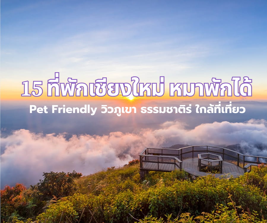 15 ที่พักเชียงใหม่ หมาพักได้  Pet Friendly