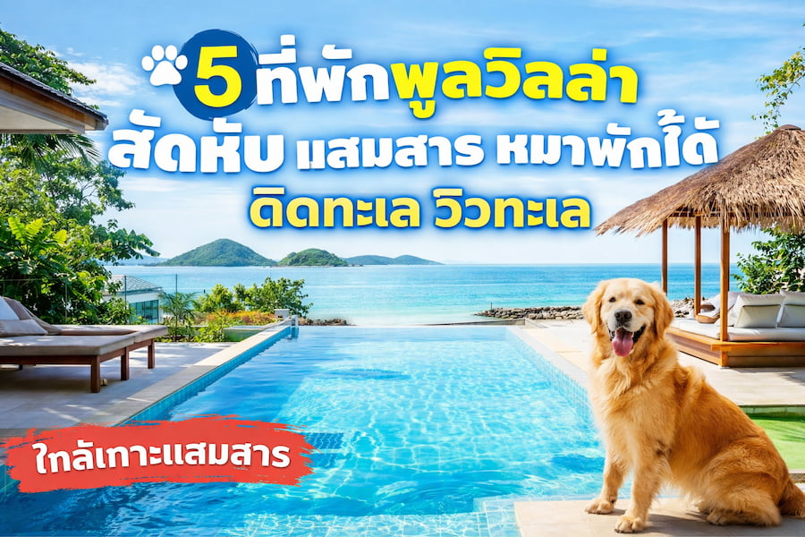 5 ที่พักพูลวิลล่า สัตหีบ แสมสาร หมาพักได้ ติดทะเล
