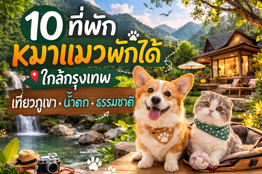 10 ที่พักหมาแมวพักได้ ใกล้กรุงเทพ วิวเขา น้ำตก หมาใหญ่พักได้ | เขาใหญ่ กาญจนบุรี สวนผึ้ง อัปเดต 2569