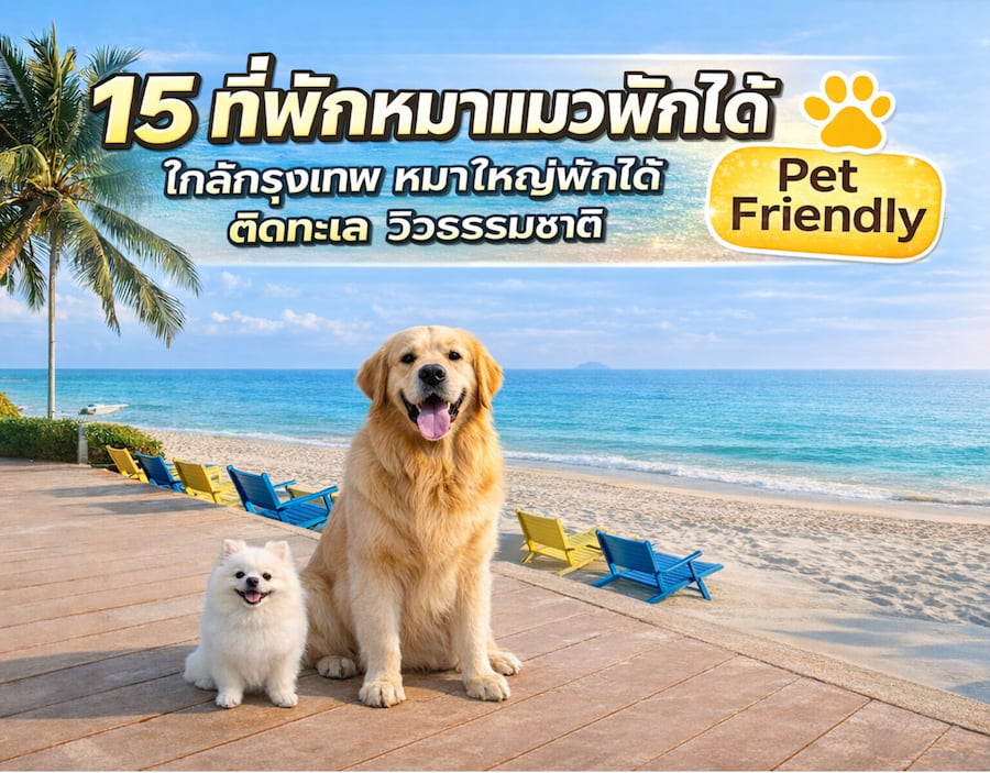 15 ที่พักหมาพักได้ ใกล้กรุงเทพ หมาใหญ่พักได้ | พัทยา เขาใหญ่ กาญจนบุรี 2569