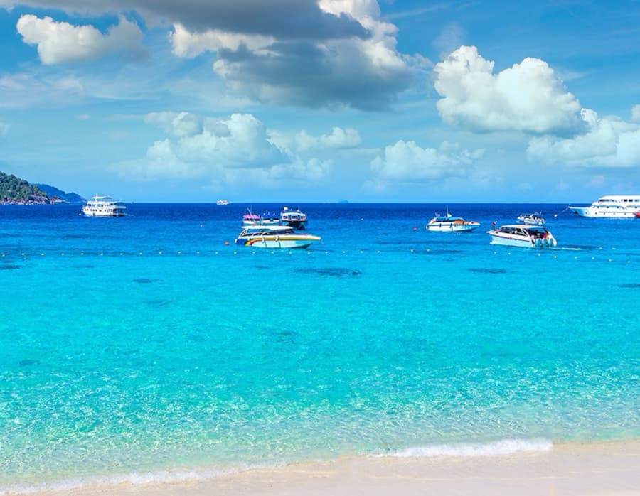 พังงา หมาพักได้ แนะนำที่เที่ยวที่พัก โรงแรม รีสอร์ต บังกะโล ต้อนรับสัตว์เลี้ยง ทั้งหมด