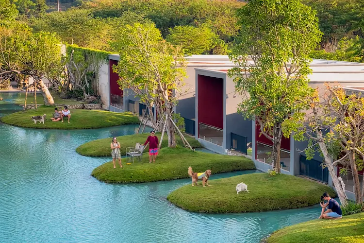 รวม 15 ที่พักพัทยาหมาใหญ่พักได้ ที่พักหมาพักได้ ใกล้กรุงเทพ  Pet Friendly ติดทะเล