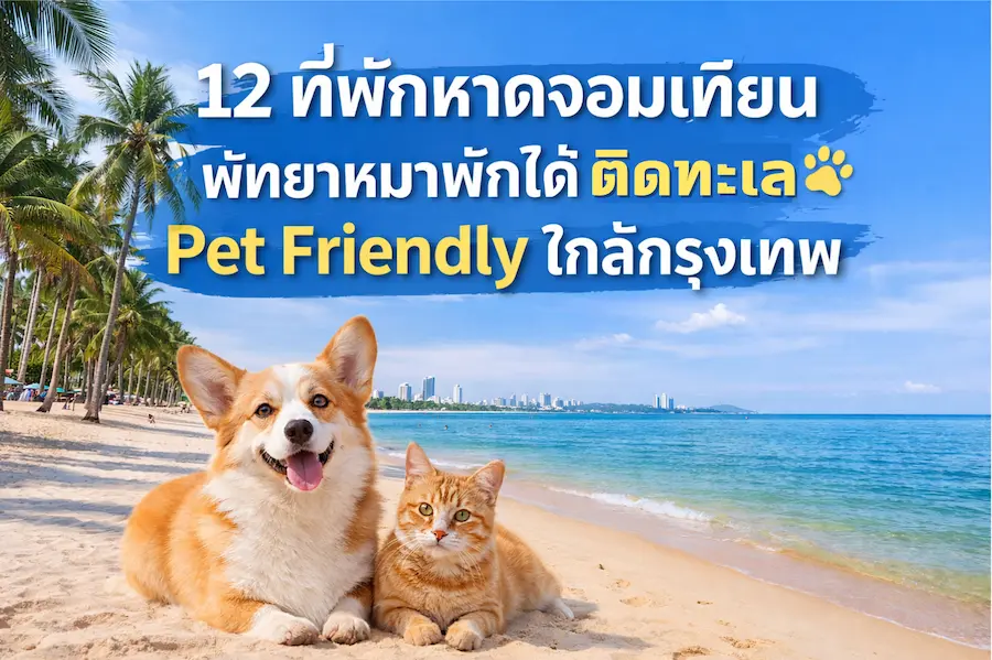 12 ที่พักหาดจอมเทียน พัทยาหมาพักได้ ติดทะเล Pet Friendly ใกล้กรุงเทพ 