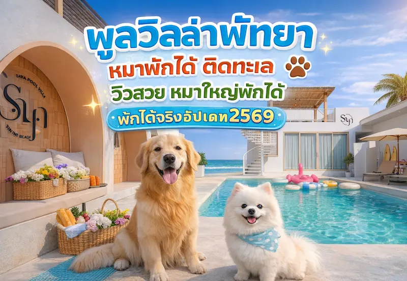 พูลวิลล่าพัทยา หมาพักได้ ติดทะเล วิวสวย หมาใหญ่พักได้ พักได้จริง อัปเดต 2569