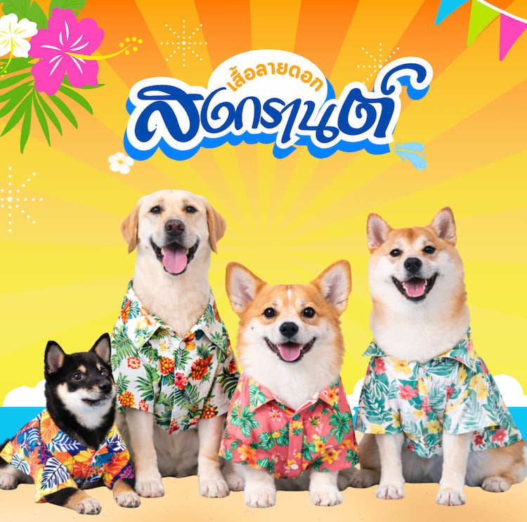 รวมเสื้อหมาแมวลายดอก ฮาวายสุดน่ารัก ใส่ได้ทั้งหมาเล็กและหมาใหญ่