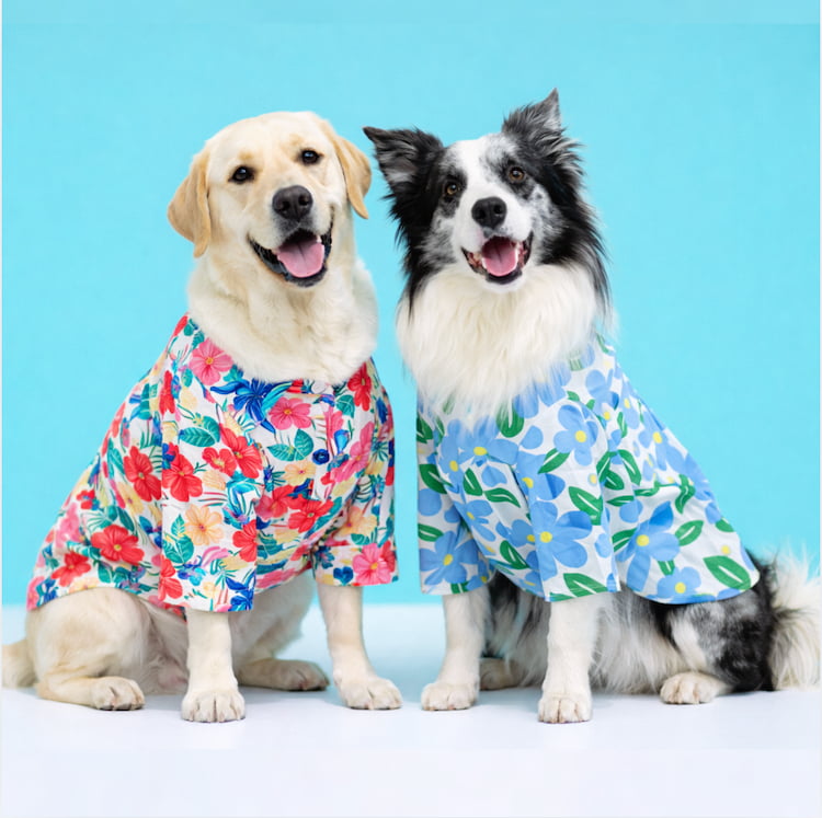 รวมเสื้อหมาแมวลายดอก ฮาวายสุดน่ารัก ใส่ได้ทั้งหมาเล็กและหมาใหญ่