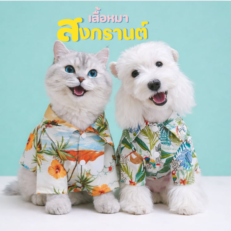 รวมเสื้อหมาแมวลายดอก ฮาวายสุดน่ารัก ใส่ได้ทั้งหมาเล็กและหมาใหญ่