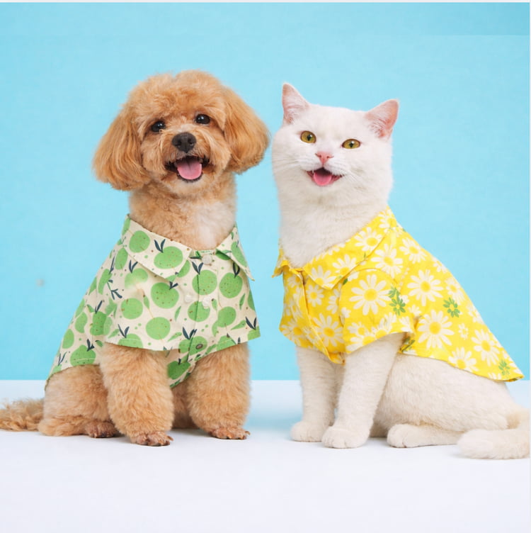 รวมเสื้อหมาแมวลายดอก ฮาวายสุดน่ารัก ใส่ได้ทั้งหมาเล็กและหมาใหญ่