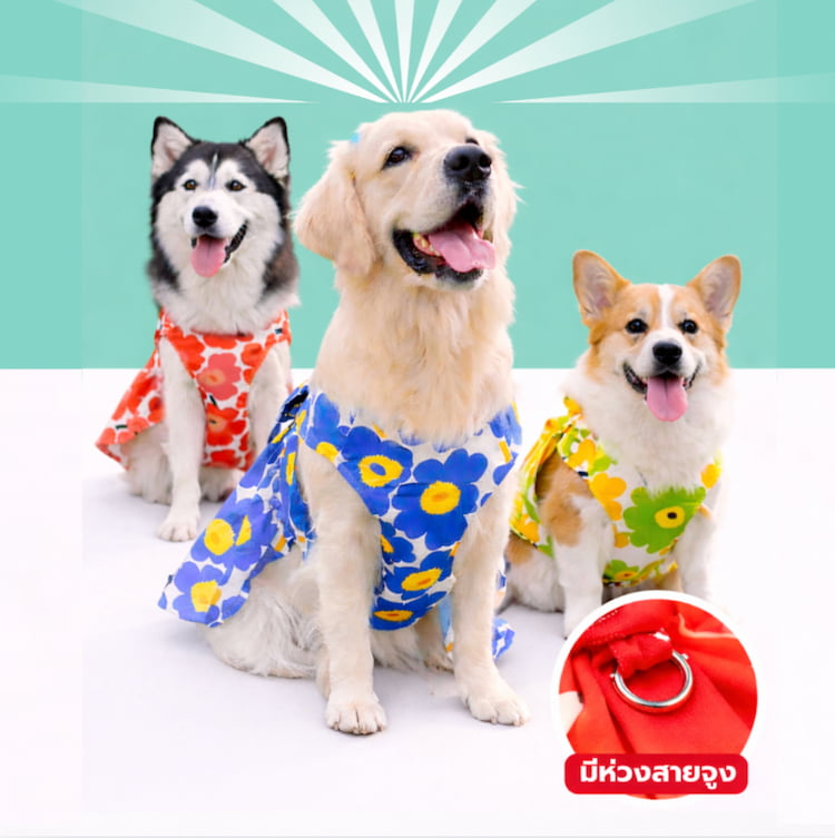 รวมเสื้อหมาแมวลายดอก ฮาวายสุดน่ารัก ใส่ได้ทั้งหมาเล็กและหมาใหญ่
