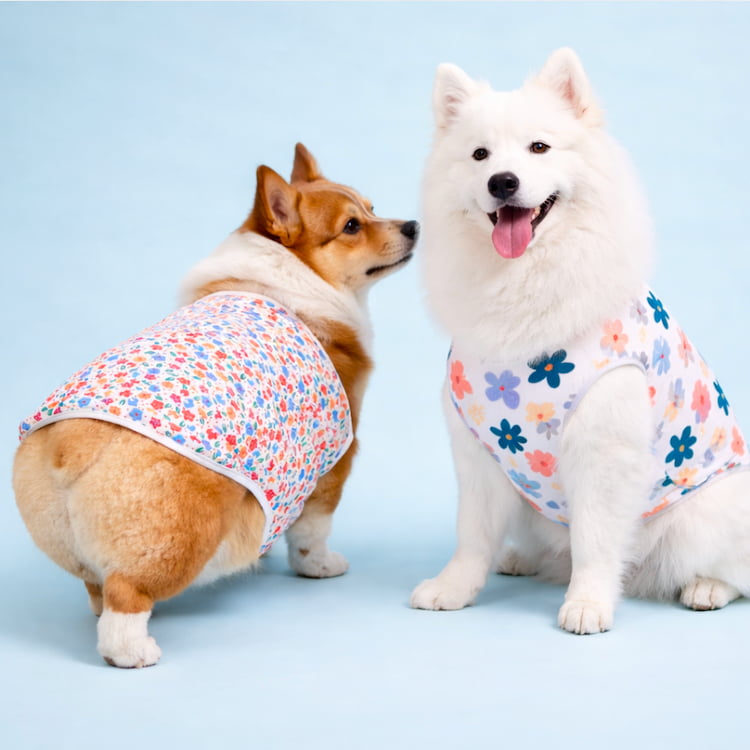 รวมเสื้อหมาแมวลายดอก ฮาวายสุดน่ารัก ใส่ได้ทั้งหมาเล็กและหมาใหญ่