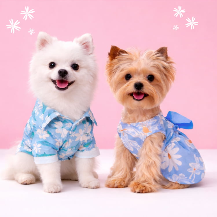 เสื้อหมา เสื้อแมว เสื้อสงกรานต์หมา เสื้อหมาฮาวาย ลาย ...