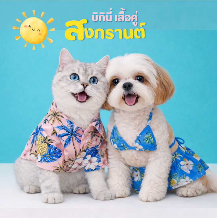 เสื้อหมา เสื้อแมว เสื้อสงกรานต์หมา เสื้อหมาฮาวาย ลาย ...