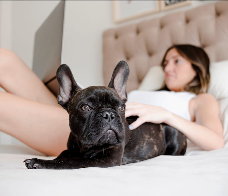 รวม 10 โรงแรม Pet Friendly กรุงเทพ พาหมาเข้าพักได้จริง