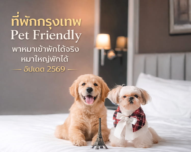 รวม 10 โรงแรม Pet Friendly กรุงเทพ พาหมาเข้าพักได้จริง