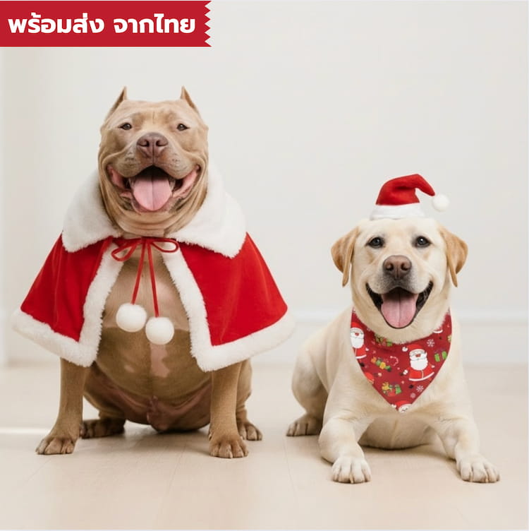 เสื้อหมาใหญ่ ชุดคริสต์มาสหมาใหญ่ รวมเสื้อสุนัขพันธุ ...