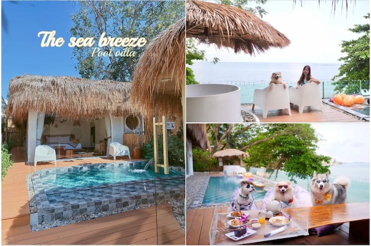 ที่พักบางแสน หมาพักได้ ราคาถูก ใกล้ทะเล ครบทุกโซน วอนนภา–บางแสน–อ่างศิลา