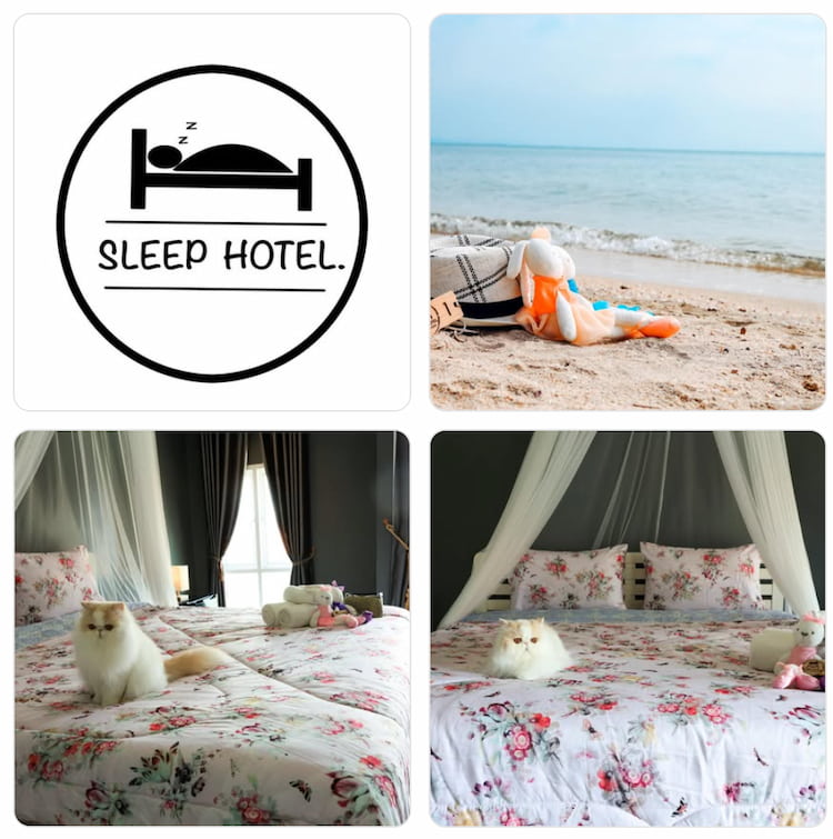 ที่พักบางแสน หมาพักได้ pet friendly