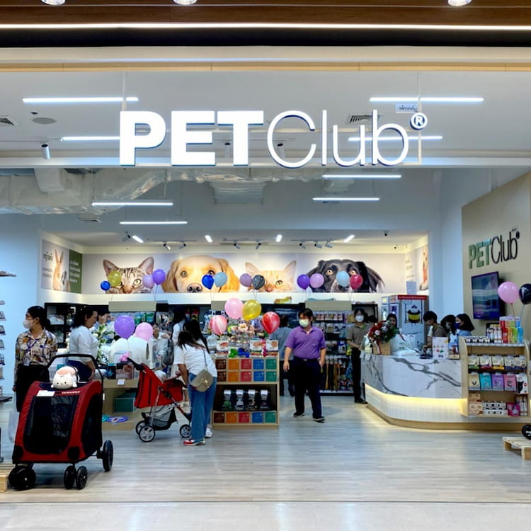 Pet Playground Future Park Rangsit โซนหมาวิ่งเล่น