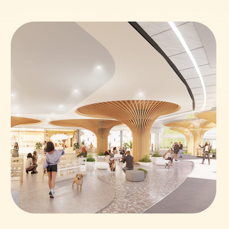 Pet Playground Future Park Rangsit โซนหมาวิ่งเล่น