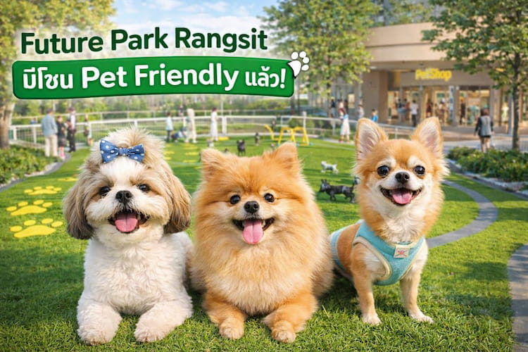 Future Park รังสิต หมาเข้าได้ไหม? เปิดโซน Pet Friendly และสนามวิ่งเล่นแล้ว