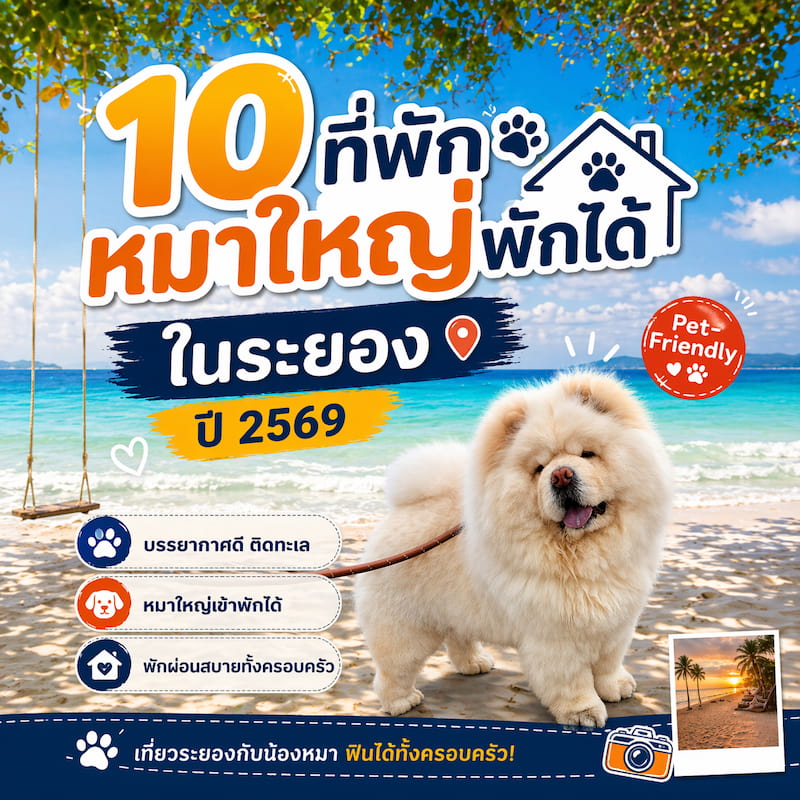 10 ที่พักระยอง “หมาใหญ่พักได้จริง” 2569 ไม่ต้องแอบ บางที่สัตว์เลี้ยงเข้าพักฟรี ใกล้ทะเล Pet Friendly
