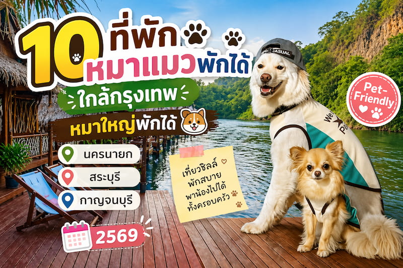 ภาพประกอบ:10 ที่พักใกล้กรุงเทพ “หมาพักได้จริง” หมาใหญ่พักได้ ราคาหลักร้อย 2569 (นครนายก สระบุรี กาญจนบุรี)