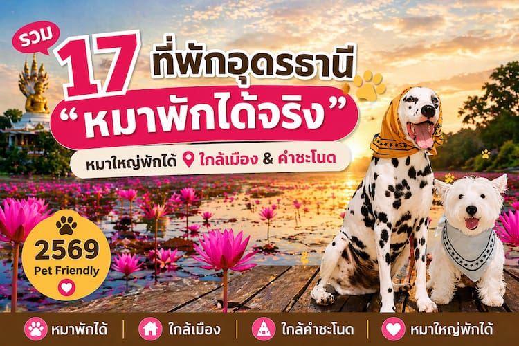 17 ที่พักอุดรธานี หมาพักได้จริง ใกล้เมือง/คำชะโนด Pet Friendly หมาใหญ่พักได้