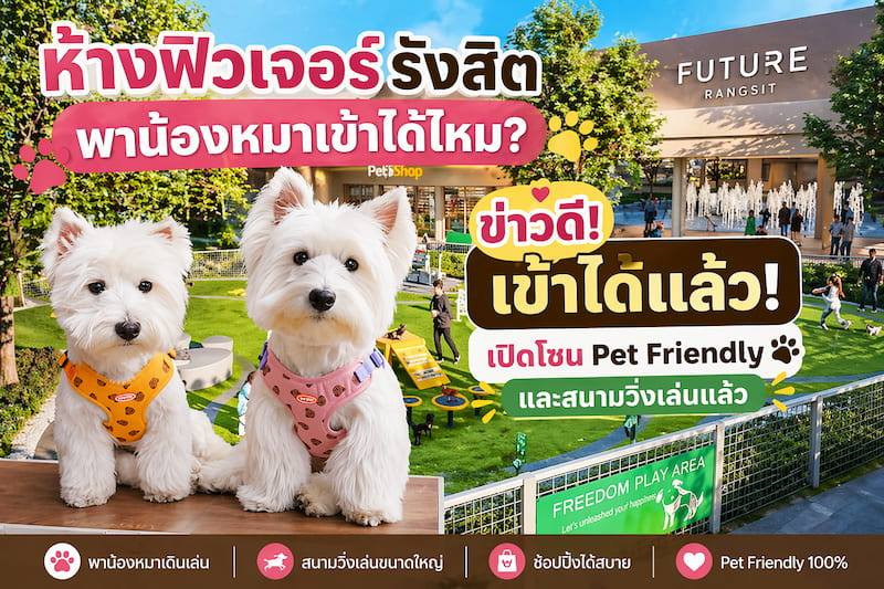 Future Park รังสิต หมาเข้าได้ไหม? เปิดโซน Pet Friendly และสนามวิ่งเล่นแล้ว