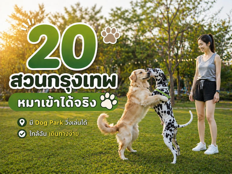 20 สวนสาธารณะกรุงเทพ “หมาเข้าได้จริง” ใกล้ฉัน มี Dog Park พาไปวิ่งเล่น 2569