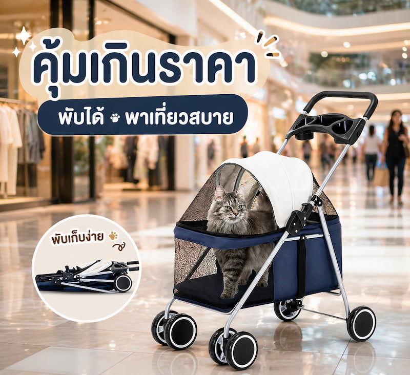 อัพโหลดรูป