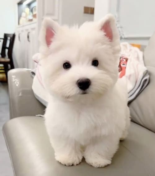 ภาพถ่ายหน้าจอ 2569-04-30 เวลา 12.45.59.jpg