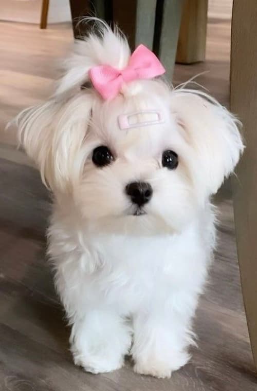 a0892a31dc0a3fe2e2dd5d9db6866b64 (1).jpg