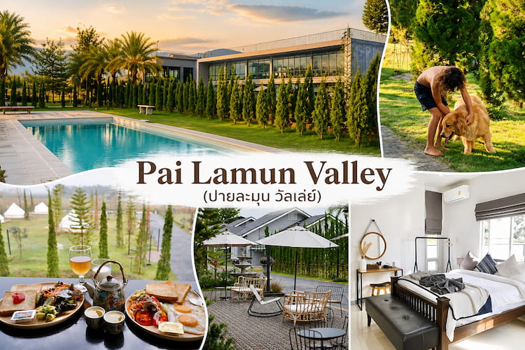 ที่พักปาย หมาพักได้จริง 2569 วิวสวย บรรยากาศดี รับหมาใหญ่ได้ (Pet Friendly)