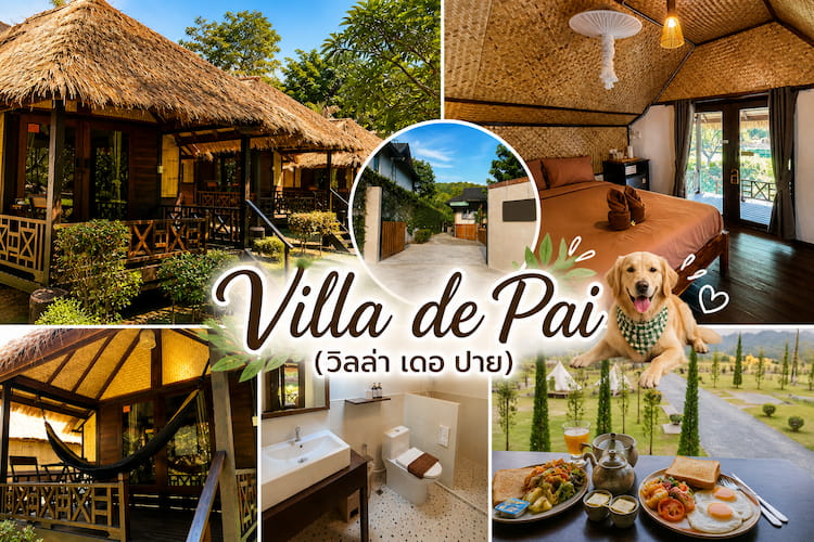 ที่พักปาย หมาพักได้จริง 2569 วิวสวย บรรยากาศดี รับหมาใหญ่ได้ (Pet Friendly)