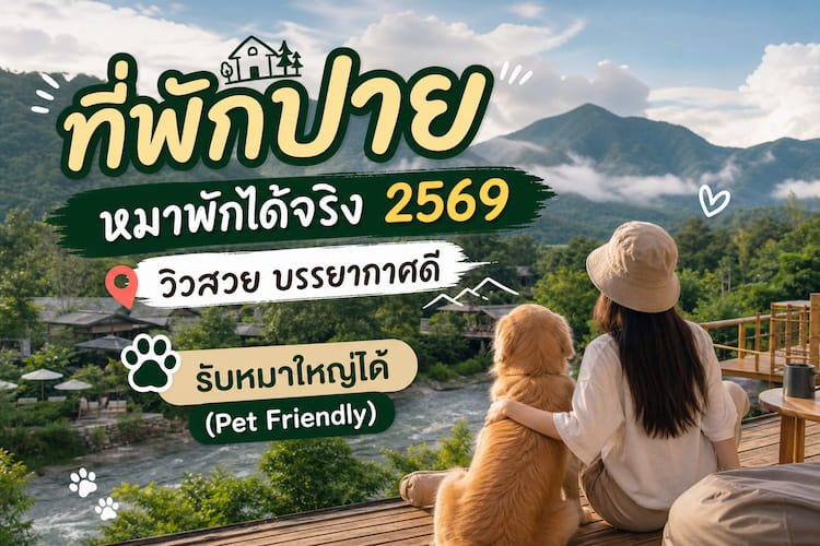ที่พักปาย หมาพักได้จริง 2569 วิวสวย บรรยากาศดี รับหมาใหญ่ได้ (Pet Friendly)