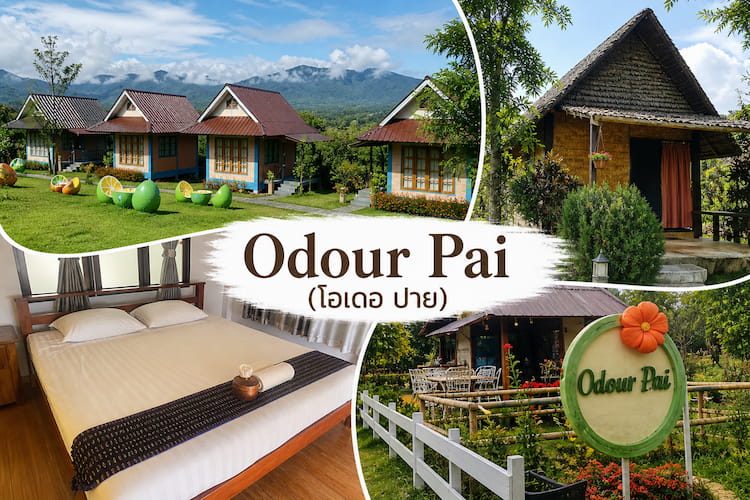 ที่พักปาย หมาพักได้จริง 2569 วิวสวย บรรยากาศดี รับหมาใหญ่ได้ (Pet Friendly)