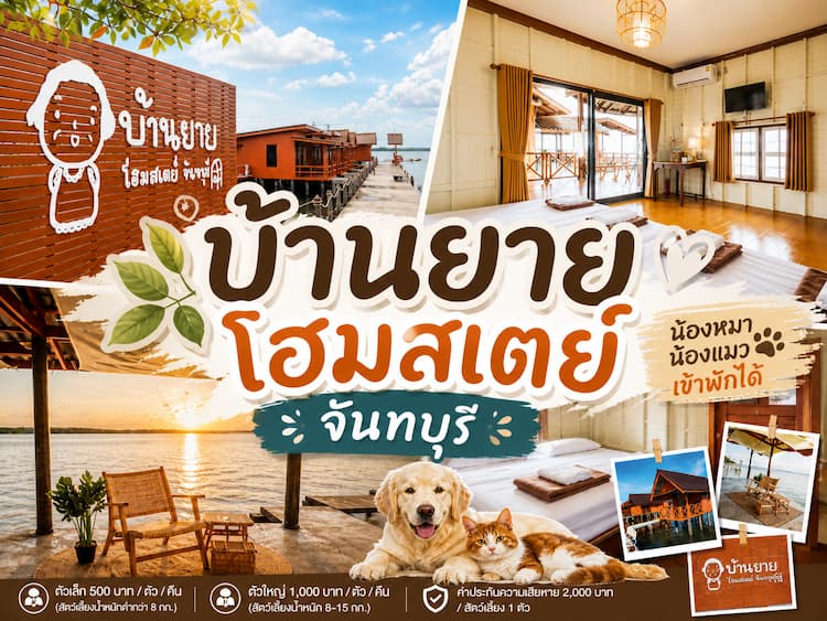30 โฮมสเตย์จันทบุรี หมาพักได้ ใหม่ล่าสุด บุฟเฟ่ต์ทะเลไม่อั้น ปู กุ้งจัดเต็ม หมาใหญ่พักได้