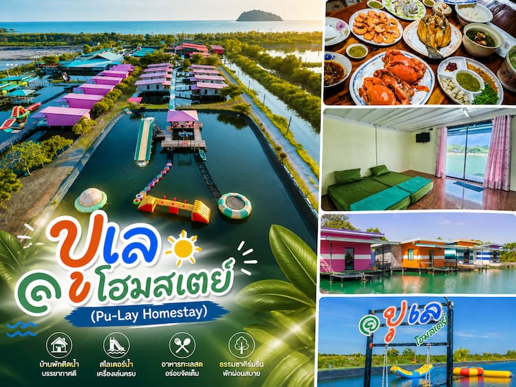30 โฮมสเตย์จันทบุรี หมาพักได้ ใหม่ล่าสุด บุฟเฟ่ต์ทะเลไม่อั้น ปู กุ้งจัดเต็ม หมาใหญ่พักได้