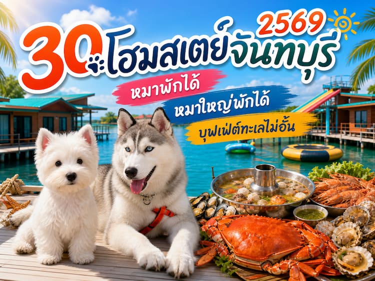 30 โฮมสเตย์จันทบุรี หมาพักได้ ใหม่ล่าสุด บุฟเฟ่ต์ทะเลไม่อั้น ปู กุ้งจัดเต็ม หมาใหญ่พักได้