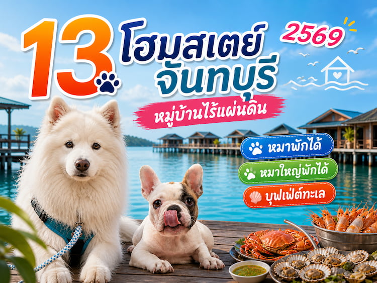 13 โฮมสเตย์จันทบุรี หมาพักได้ 2569 โซนหมู่บ้านไร้แผ่นดิน กลางน้ำ บุฟเฟ่ต์ทะเล หมาใหญ่พักได้