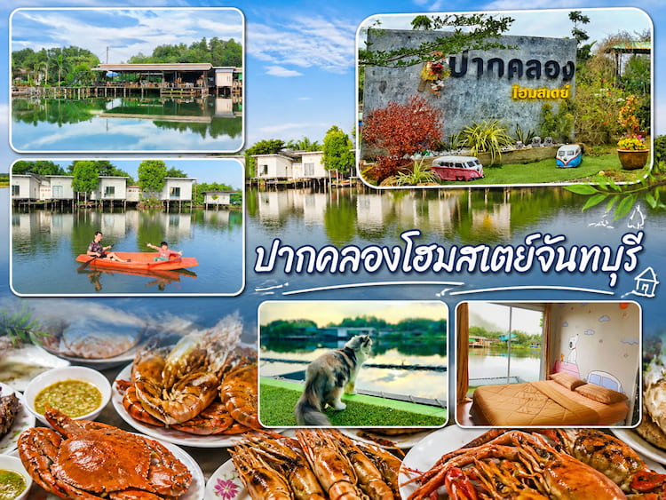 30 โฮมสเตย์จันทบุรี หมาพักได้ ใหม่ล่าสุด บุฟเฟ่ต์ทะเลไม่อั้น ปู กุ้งจัดเต็ม หมาใหญ่พักได้