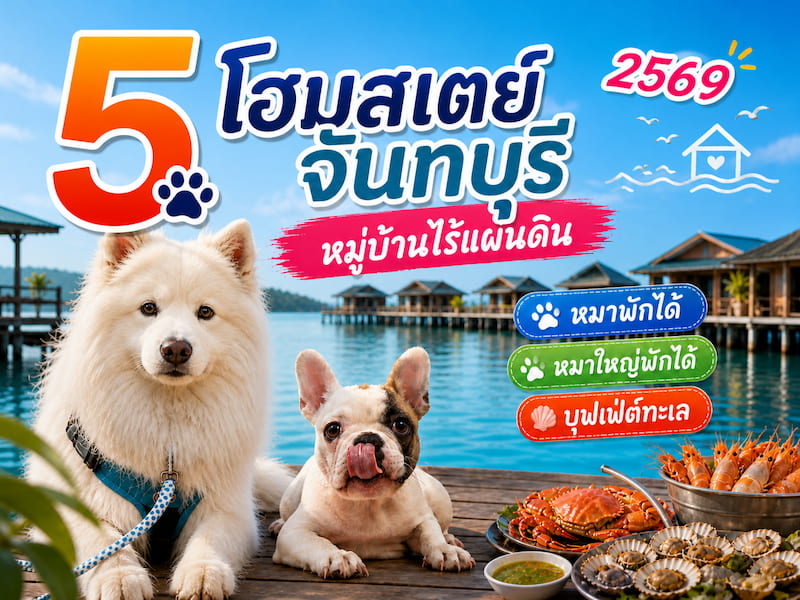 5 โฮมสเตย์จันทบุรี หมาพักได้ 2569 โซนหมู่บ้านไร้แผ่นดิน กลางน้ำ บุฟเฟ่ต์ทะเล หมาใหญ่พักได้