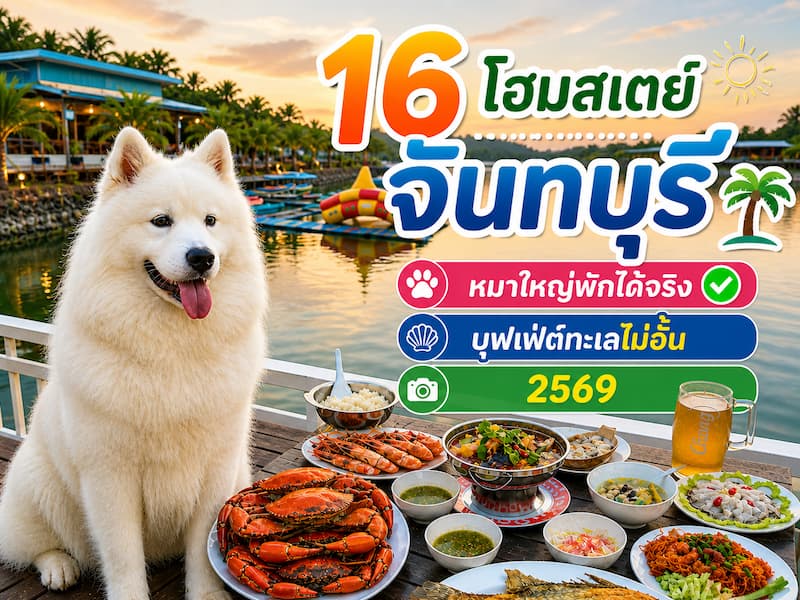 16 โฮมสเตย์จันทบุรี หมาใหญ่พักได้จริง 2569 บุฟเฟ่ต์ทะเลไม่อั้น แบ่งโซน เที่ยวครบทุกโซน