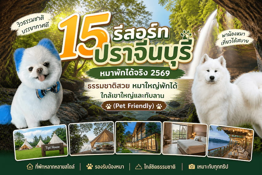 15 รีสอร์ทปราจีนบุรี หมาพักได้จริง 2569 ธรรมชาติสวย หมาใหญ่พักได้ ใกล้เขาใหญ่และทับลาน (Pet Friendly)